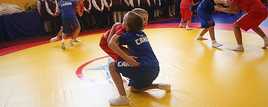 В Новосибирске проверят работу спортивных федераций и школ