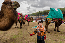 Верблюжьи бои и танцующие монахи: причудливые праздники Турции