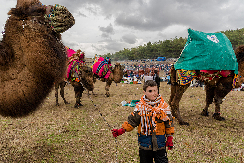 Верблюжьи бои и танцующие монахи: причудливые праздники Турции