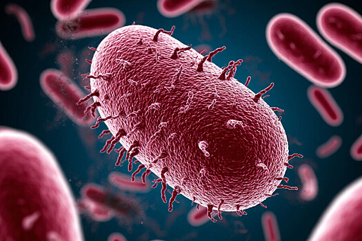Как птицы распространяют опасные бактерии по всему миру