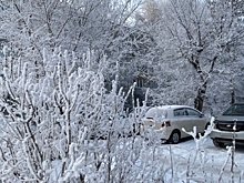 Экстремальные морозы на подходе: в Омской области ожидается до −36 градусов