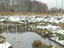 Канализацию снова прорвало в Богородском округе