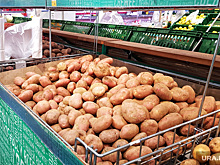 В Кургане резко упали цены на популярные продукты