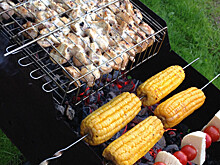 МЧС России: Жарить шашлыки в городских парках не запрещено