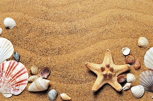 Эксперт Роспотребнадзора: в пляжном песке обитают патогенные грибы и глисты