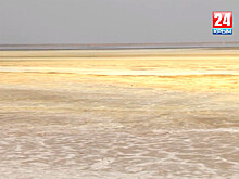 Крымские власти назвали причину выброса химического вещества