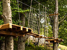 Прежние владельцы «Енот-парка» в Ижевске собирают подписи под петицией после рейдерского захвата