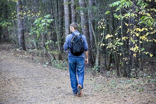 Ученый назвал сроки массового нашествия гнуса в Югре