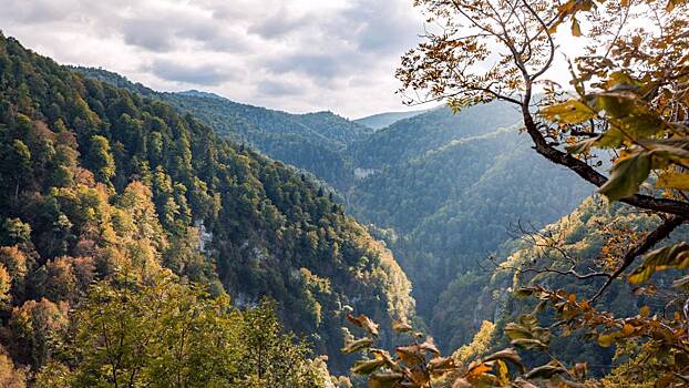 Самолетом, поездом, машиной: куда поехать отдохнуть на праздничные выходные