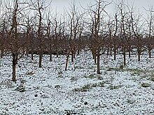 На севере Молдавии упали обломки ракеты