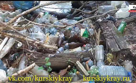 Активисты приглашают курян на субботник по расчистке реки Тускарь