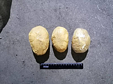 Кузбассовец попал за решетку из-за "яиц с сюрпризом"