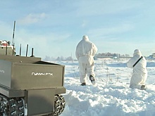 Новых роботов «разведчика-камикадзе» и «логиста» показали на полигоне Алабино