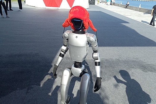 Амурская область на ВЭФ представила киборга Гошу