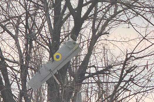 В Кировске в ЛНР на дереве обнаружили  дрон ВСУ с боевой частью