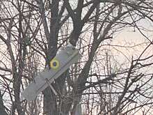 В Кировске в ЛНР на дереве обнаружили  дрон ВСУ с боевой частью