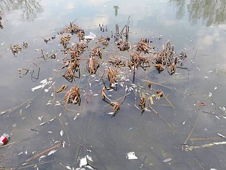 Река Дырочная изменила цвет и покрылась пеной после сброса отходов