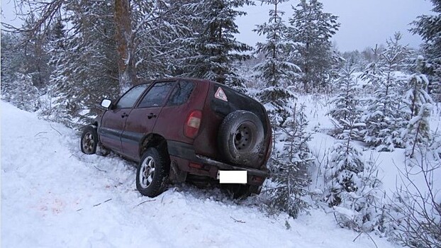 В Богородском районе «Шевроле Нива» съехала с дороги и врезалась в дерево