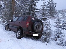 В Богородском районе «Шевроле Нива» съехала с дороги и врезалась в дерево