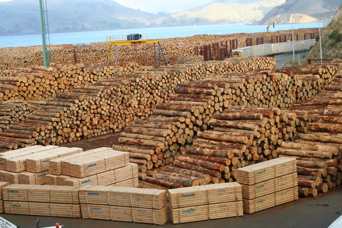 Финляндия выступает против экспорта российской древесины в Японию