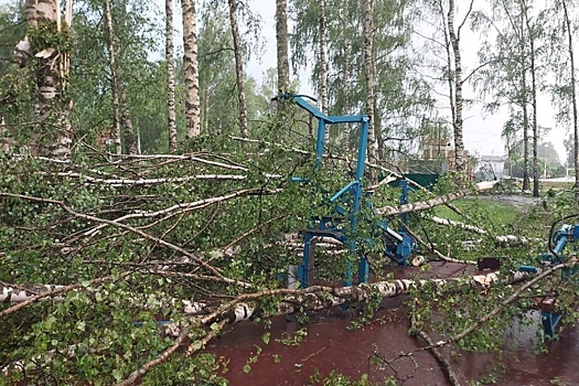 Ярославские энергетики ликвидируют последствия штормового ветра