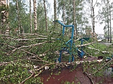 Ярославские энергетики ликвидируют последствия штормового ветра
