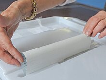 В России появится Избирательный кодекс. Авторы предлагают узаконить в нем отзыв депутатов и мэров