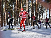 В Казани в этом году откроют лыжно-биатлонный комплекс в поселке Мирный