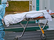 Новые максимумы и стоимость путешествий по России. Главное о коронавирусе за 23 октября