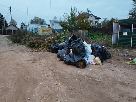 «Мигрирующая помойка»: В Химках встали «скорые», а в Лопотово жалуются на мусор