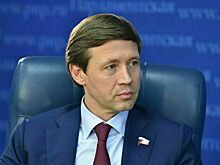 Сенатор Шейкин рассказал, как граждан защитят от кибермошенников