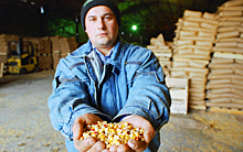 Украина решила «развести» Китай на кукурузе