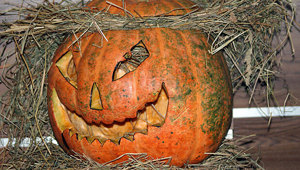 Хэллоуин отпразднуют в Аптекарском огороде