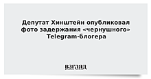 Депутат Хинштейн опубликовал фото задержания «чернушного» Telegram-блогера