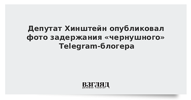Депутат Хинштейн опубликовал фото задержания «чернушного» Telegram-блогера