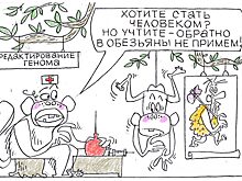 Инвесторы сделали ставку на ОМИКСы