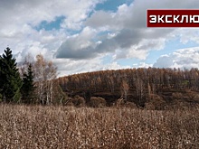 Юрист рассказал о плюсах нового порядка оформления земельных участков