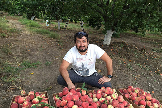 В Дагестане создают устойчивые к весенним заморозкам сорта персиков