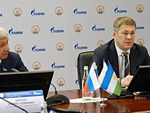 Радий Хабиров рассказал, что в ближайшие годы газ проведут в 26 тысяч домов Башкирии