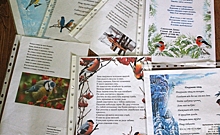 В Курской области выбрали победителей конкурса на лучшее стихотворение «Покормите птиц зимой!»