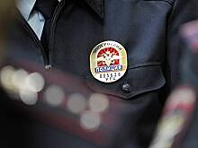 Полиция начала проверку после того, как в Подмосковье неизвестные утопили собаку