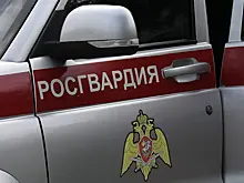 Фура протаранила колонну Росгвардии в Воронежской области