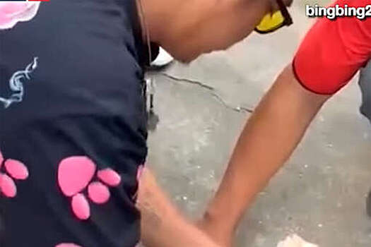 SCMP: таец сделал массаж сердца кошке, которую ударило током, и спас ее