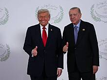 Трамп назвал Эрдогана «крепким орешком»