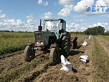 Матвиенко придумала, как спасти сельское хозяйство от кадрового дефицита