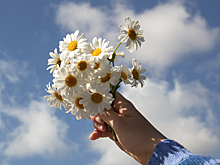 Учёные раскрыли секрет счастливой жизни