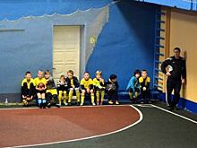 Резиновая боль-2. Покрытие в «Золотых куполах» стелили люди «большого ума»