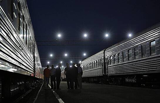 50 тысяч россиян потребовали уволить проводницу, выкинувшую кота из поезда