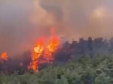 На Эгейском побережье Турции борются с лесными пожарами