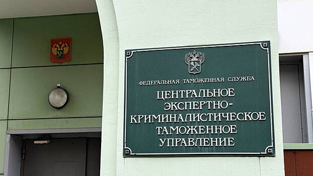 «Бриллианты под видом камней для аквариума»: как на таможне ловят контрабандистов